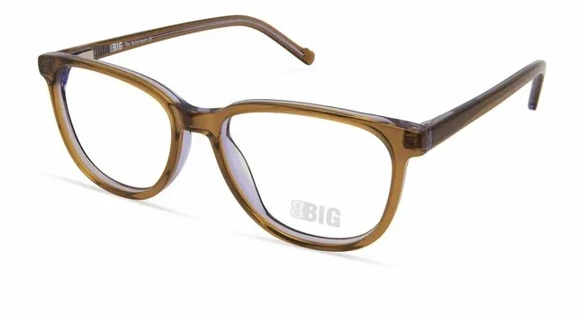 BBIG 254 509