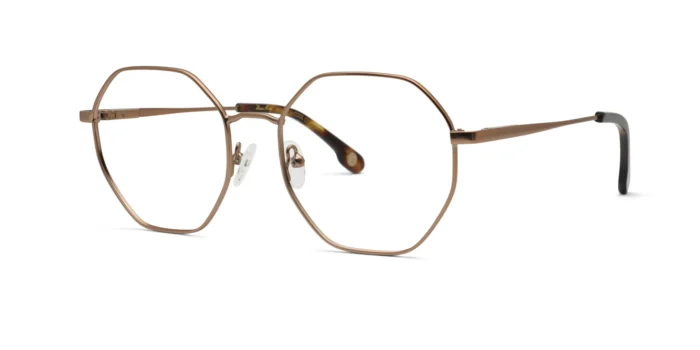 Vinz Roy 1016.39 52-18