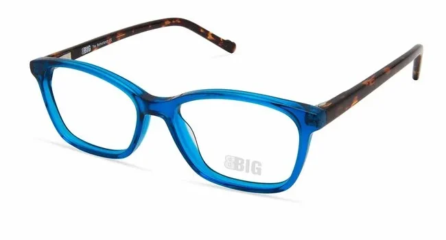 BBIG 253 507