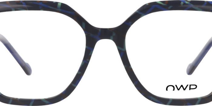 Alternative view of OWP 2238 300 54-18