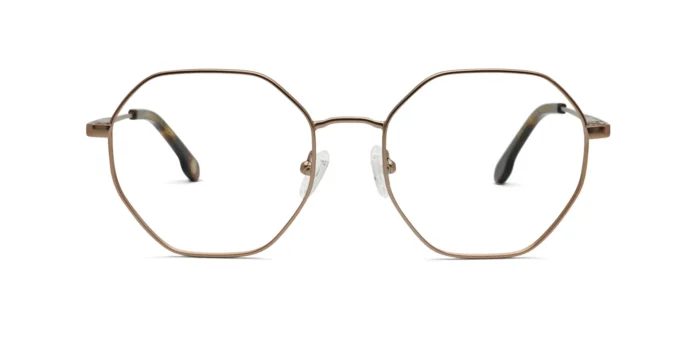 Alternative view of Vinz Roy 1016.39 52-18