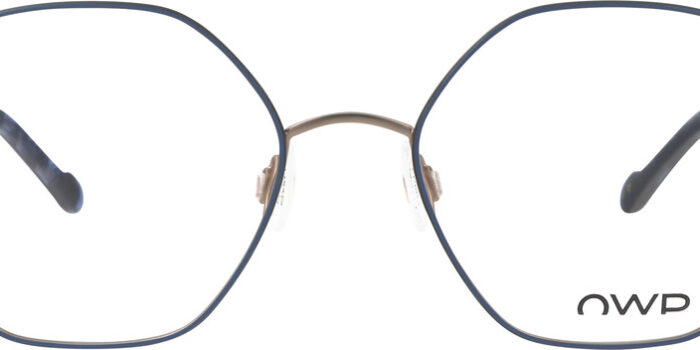 Alternative view of OWP 1480 300 53-18