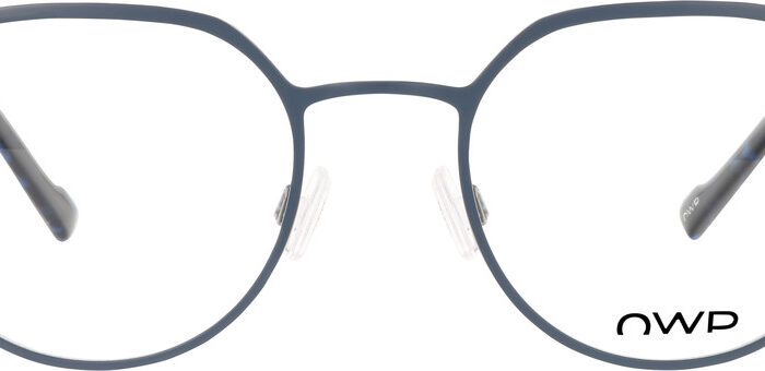 Alternative view of OWP 8768 200 52-21