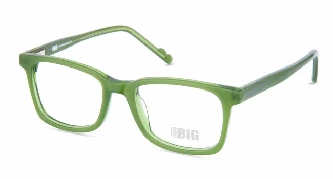 Alternative view of BBIG 256 522